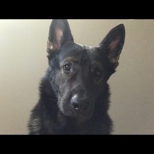 Meet your Posher, Karla