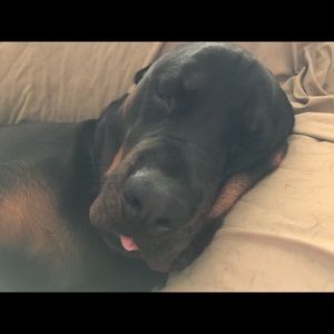 Meet your Posher, Deborah