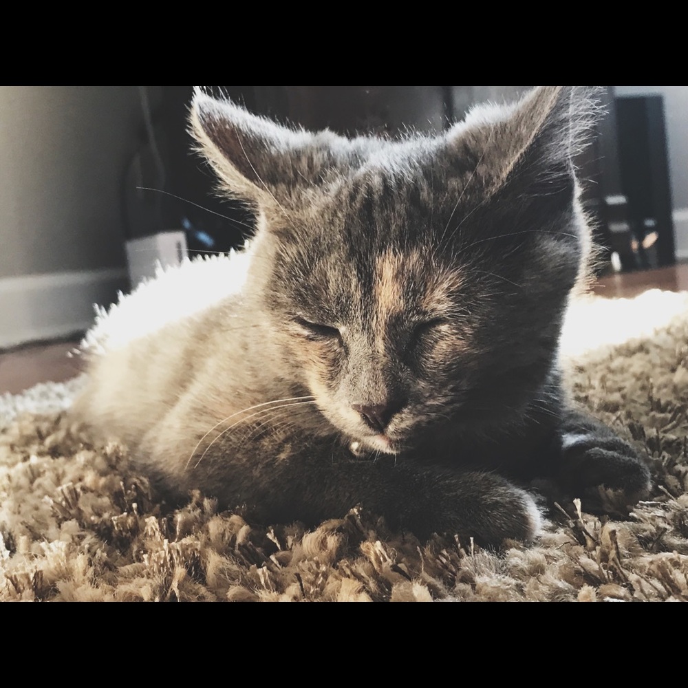 Meet your Posher, Emily