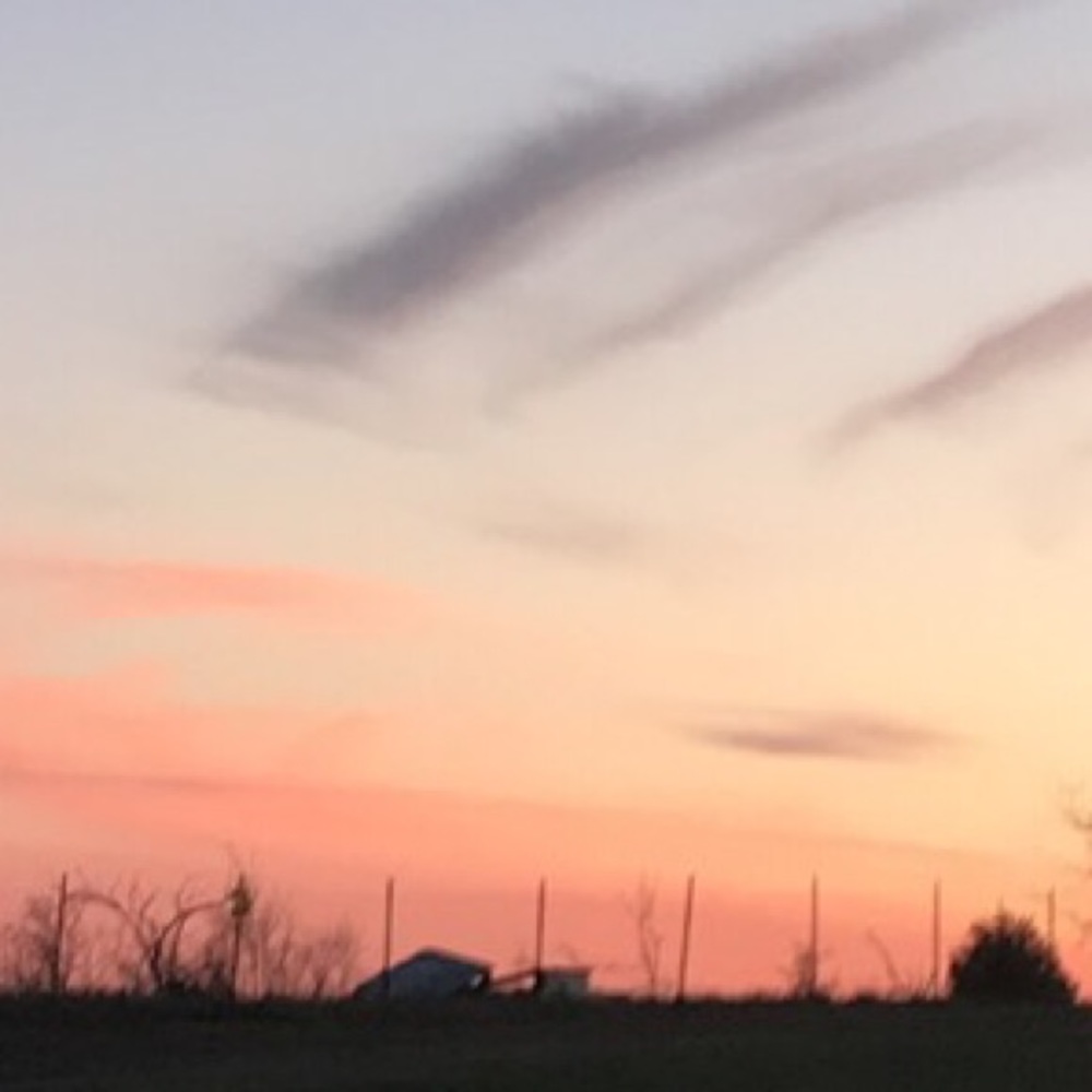 Meet your Posher, Shyanne