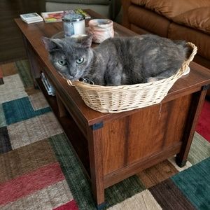 Meet your Posher, Anna