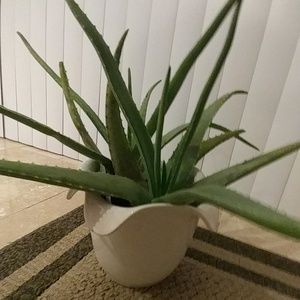 Meet your Posher, Carolyn