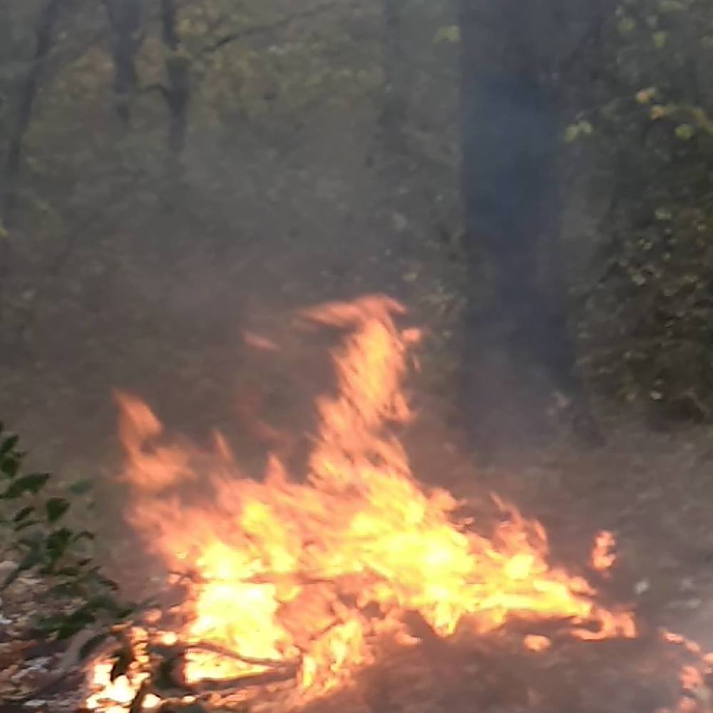 Meet your Posher, Staci