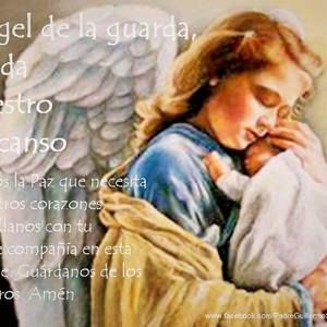 Meet your Posher, Elsa