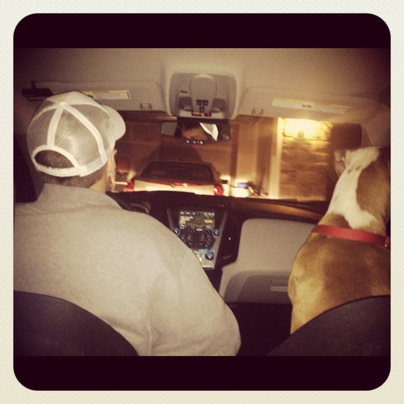 Meet your Posher, Trevor - Picture 1 of 1