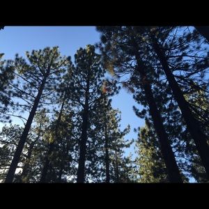 Meet your Posher, Josh