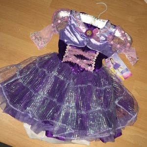 Disney Rapunzel Costume