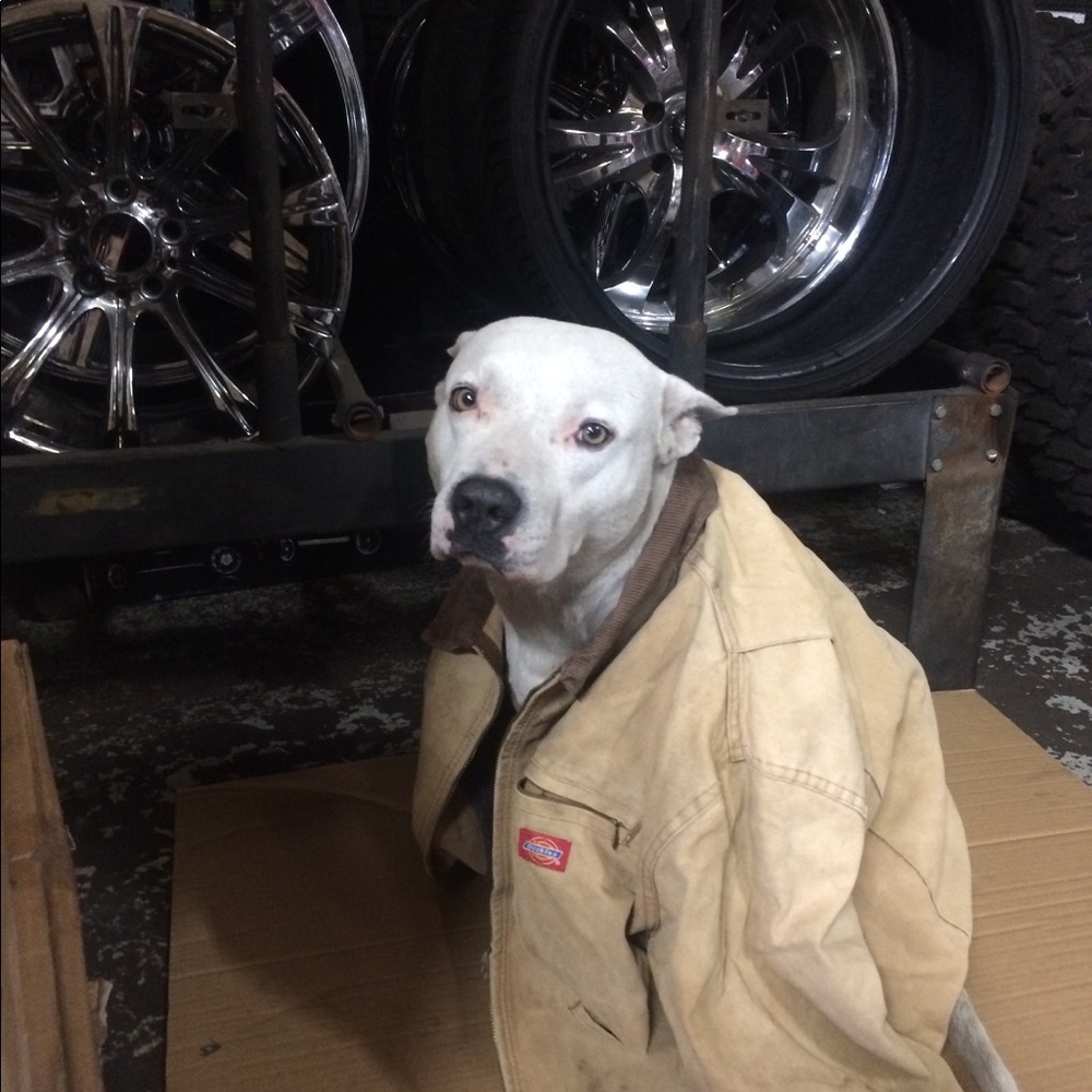 Meet your Posher, Ayman