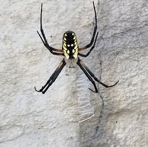 Meet your Posher, Jeff