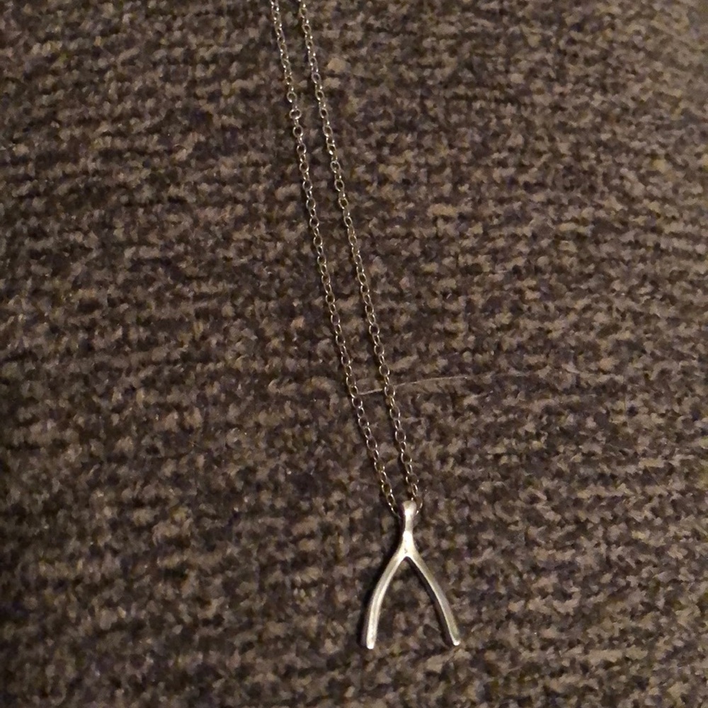 Wishbone necklace