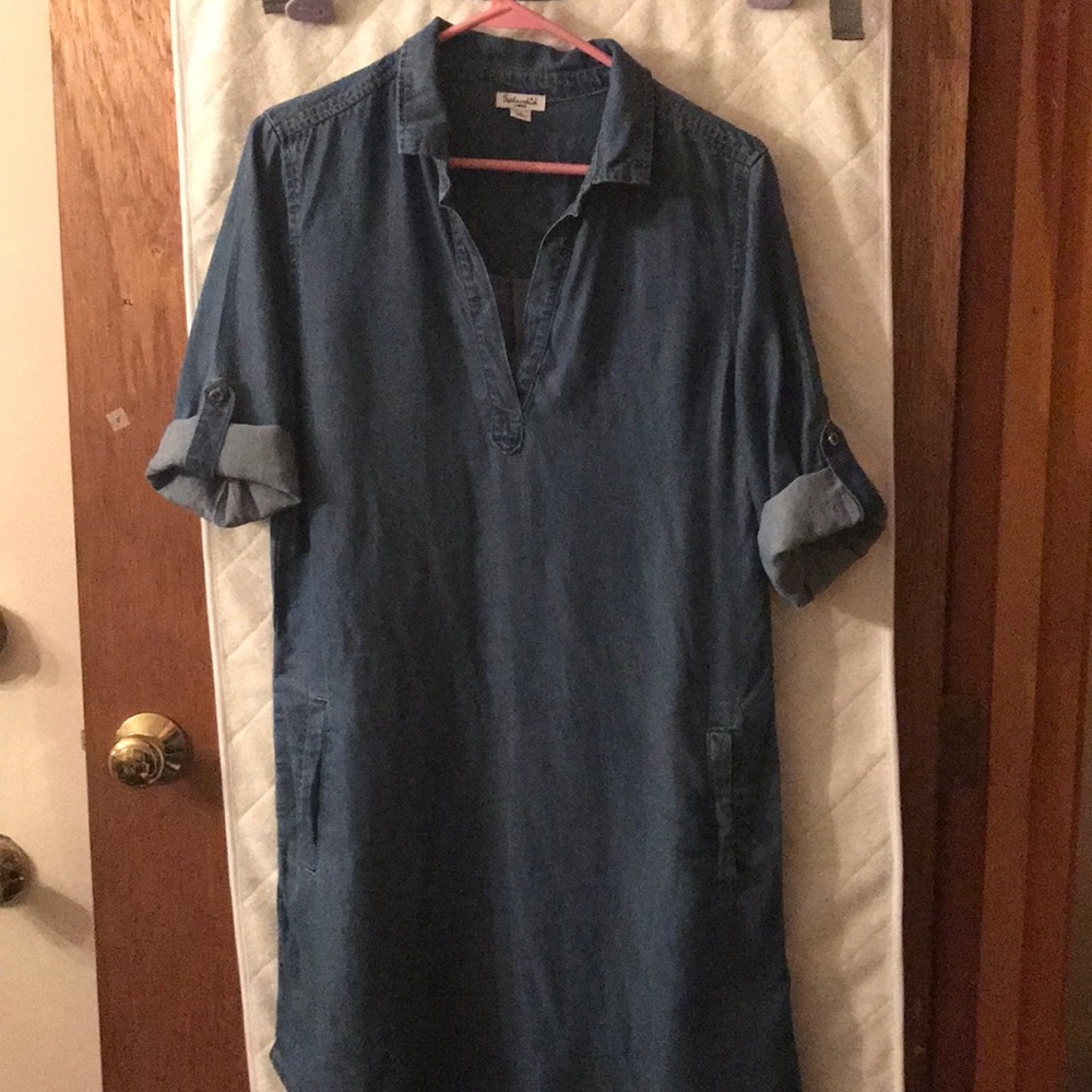 EUC size L Splendid denim shirt dress