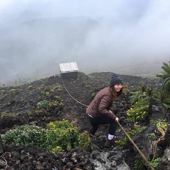 Meet your Posher, Susi - Picture 1 of 1