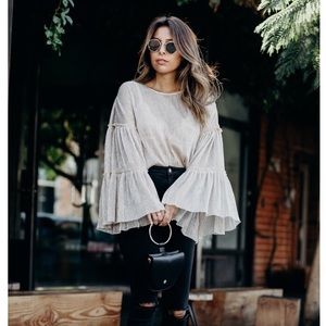 Shimmery Voluminous Sleeve Zara Top