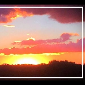 Meet your Posher, Terry