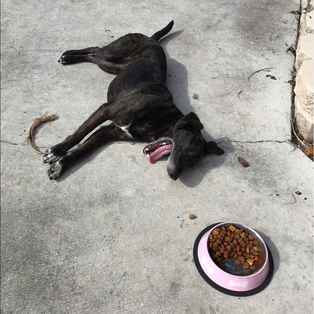 Meet your Posher, Mike