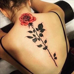 Meet your Posher, Shalimar