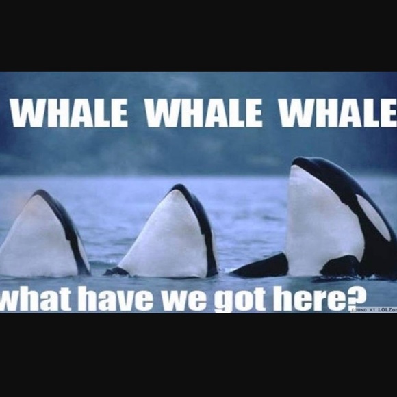 Meet your Posher, Ericka - Picture 1 of 1