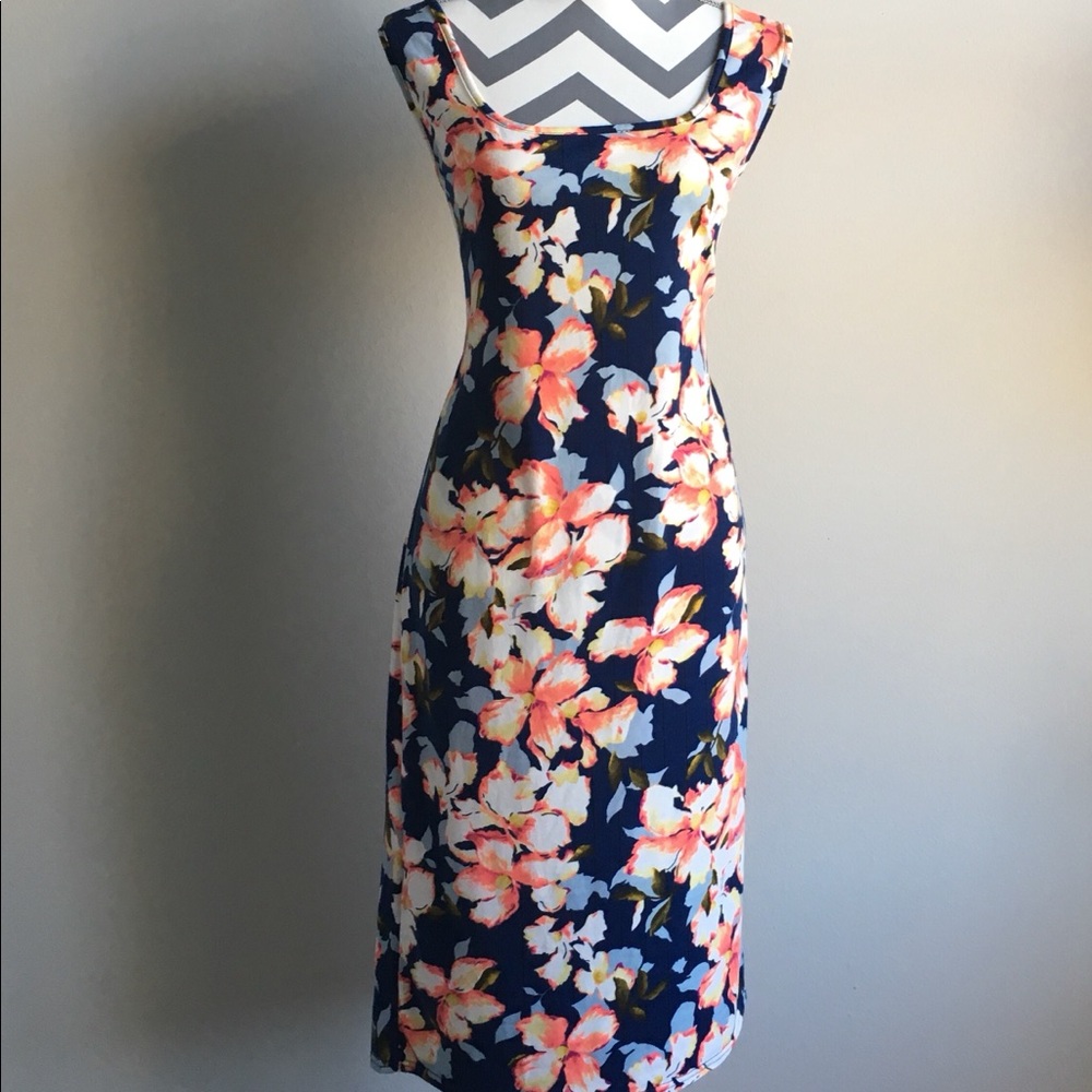 Pretty Soft Woven Floral Print Dress US SZ16