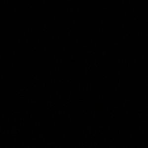 Meet your Posher, Dylan