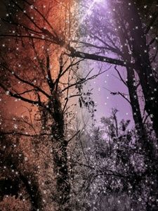 Meet your Posher, Joeann