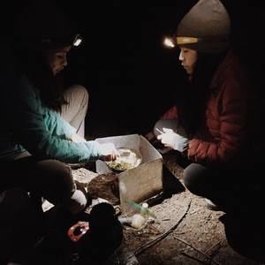 Meet your Posher, Rochelle