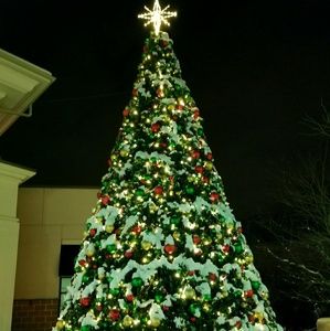 Meet your Posher, Trupti