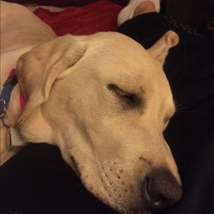 Meet your Posher, Melinda