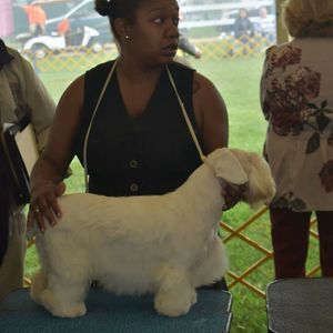 Meet your Posher, Gabrielle