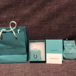 Tiffany & Co horseshoe necklace