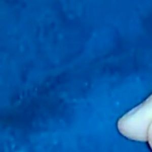 Meet your Posher, Owen