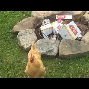 Meet your Posher, Scott