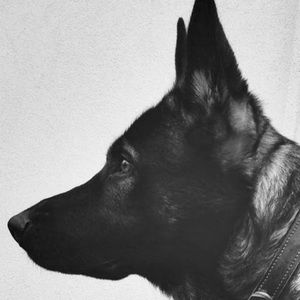 Meet your Posher, Joseph