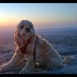 Meet your Posher, Isabelle