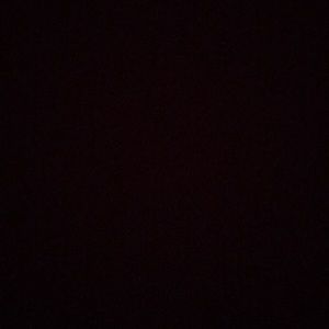 Meet your Posher, Rudy