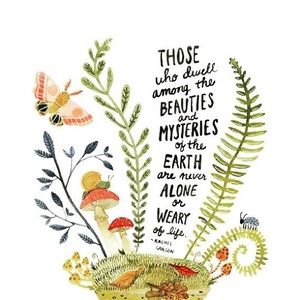 Meet your Posher, Meghan