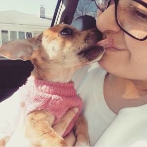 Meet your Posher, Ally