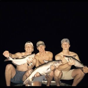 Meet your Posher, Austin