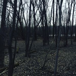 Meet your Posher, Barrett