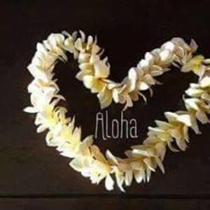 Meet your Posher, Sally