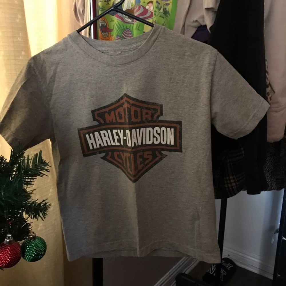 Vintage Harley Davidson shirt