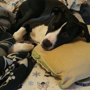 Meet your Posher, Nathan