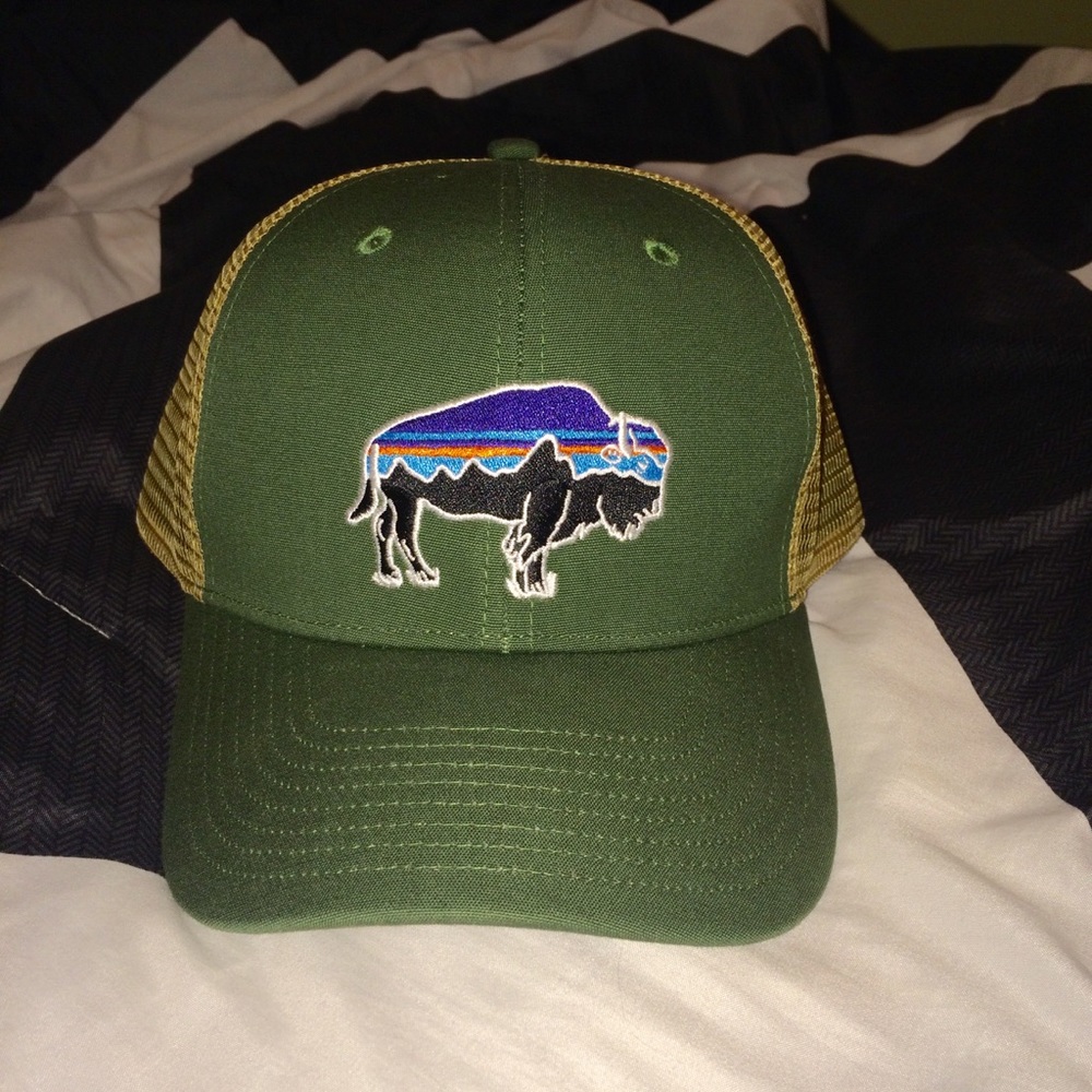 NWOT Patagonia Fitz Roy Bison Trucker Hat
