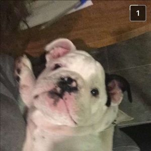 Meet your Posher, Katherine