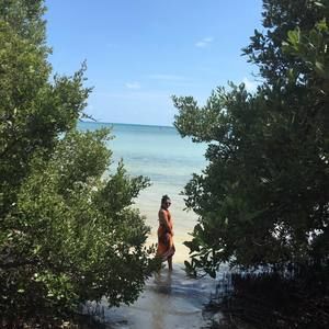 Meet your Posher, Jacquelin