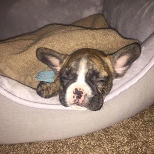 Meet your Posher, Tim