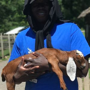 Meet your Posher, Godfrey