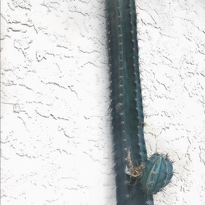 Meet your Posher, Alberto