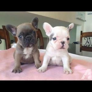 Meet your Posher, Cecelia