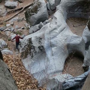 Meet your Posher, Jarrod