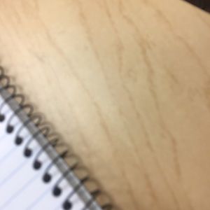 Meet your Posher, Hani